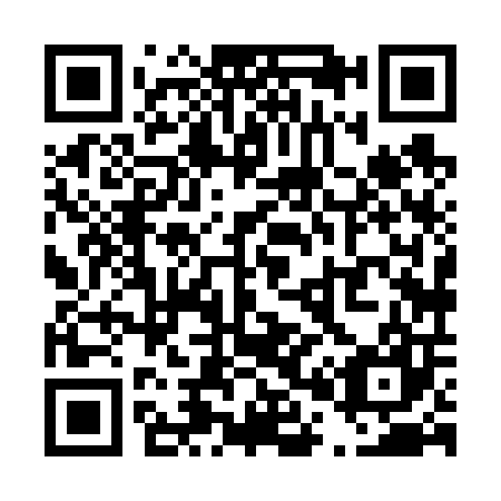 QR code for T08607
