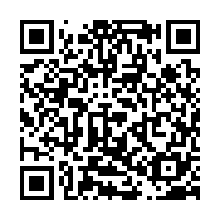QR code for T09375