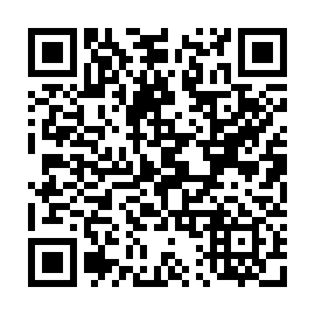 QR code for T10339