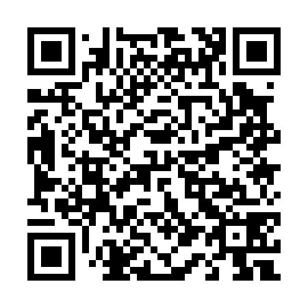 QR code for T11078
