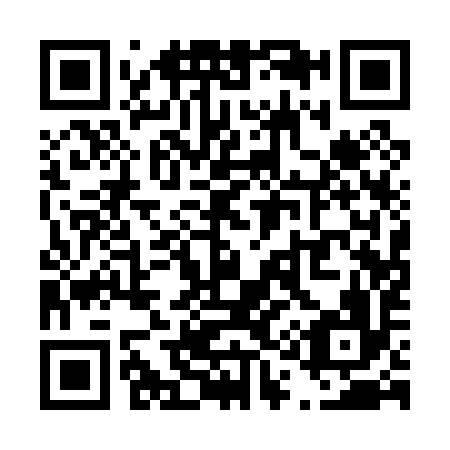 QR code for T11096