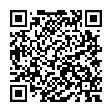 QR code for T11117