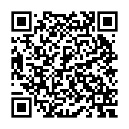 QR code for T11225