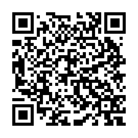 QR code for T11236