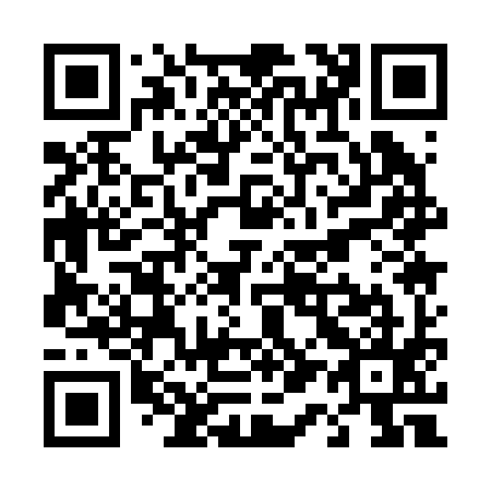 QR code for T11295