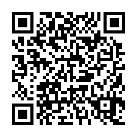 QR code for T11334