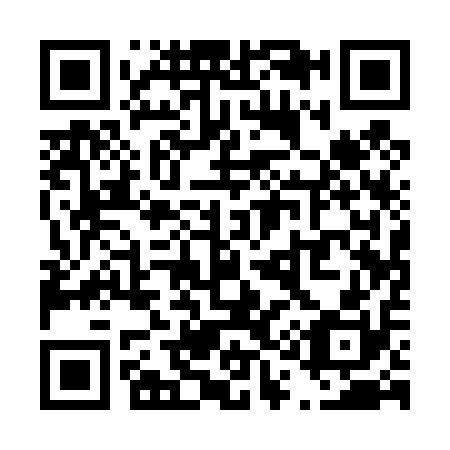 QR code for T11410