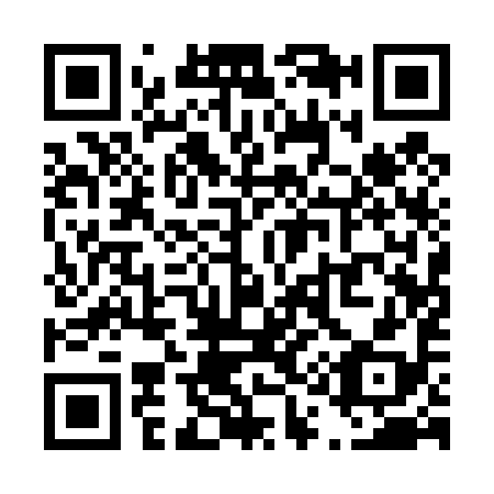 QR code for T11498
