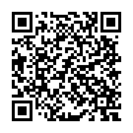 QR code for T11507