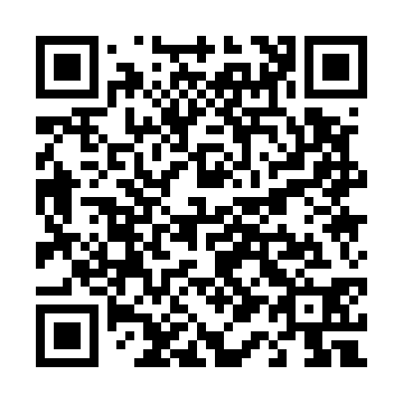 QR code for T11530