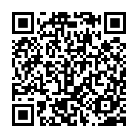 QR code for T11565