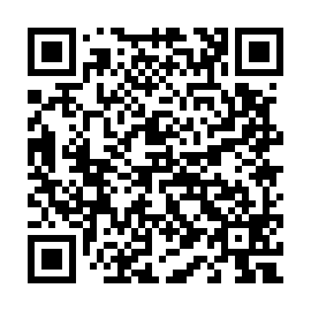QR code for T11599