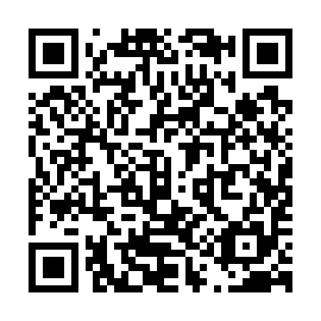 QR code for T11795
