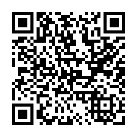 QR code for T11958