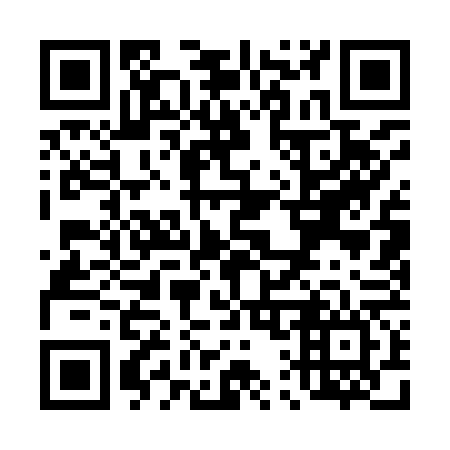 QR code for T11966