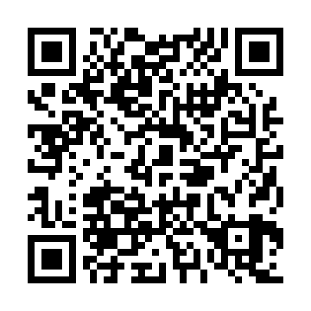 QR code for T12029