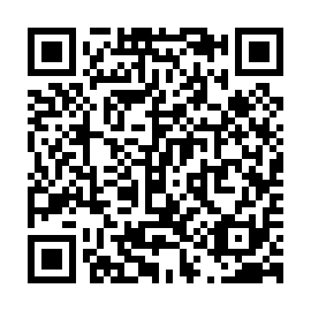 QR code for T13011