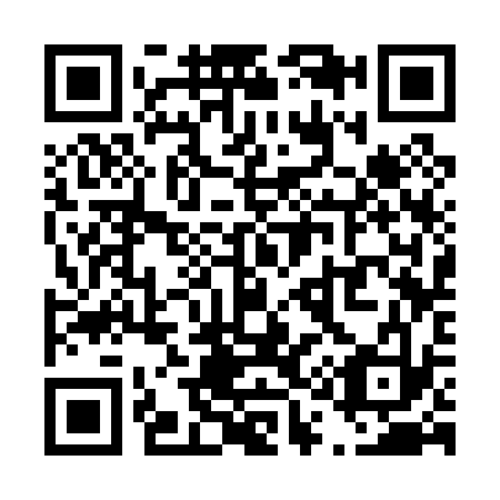 QR code for T13033