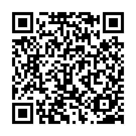 QR code for T13205