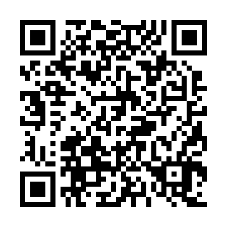 QR code for T13206