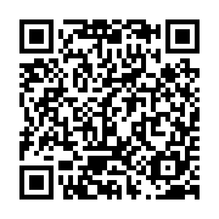QR code for T13255