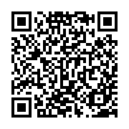 QR code for T13287