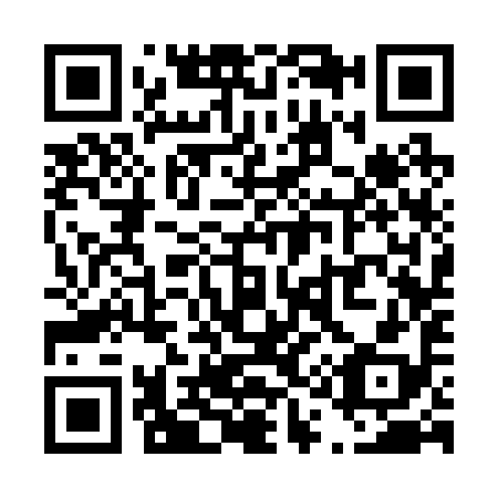QR code for T13298