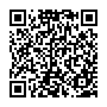 QR code for T13306