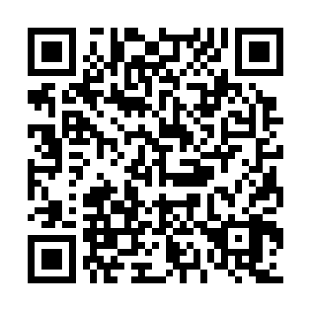 QR code for T13308