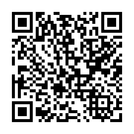 QR code for T13352