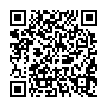 QR code for T13357