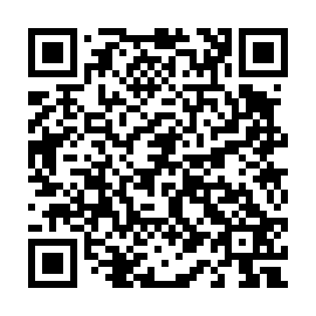 QR code for T13423