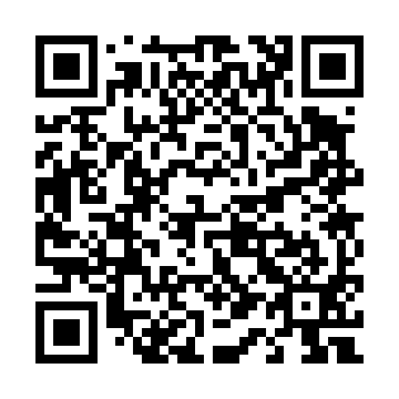 QR code for T13491