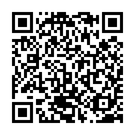 QR code for T13591