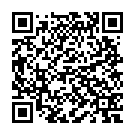 QR code for T13772