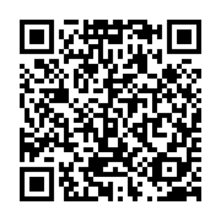 QR code for T13858