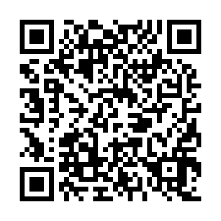 QR code for T13916