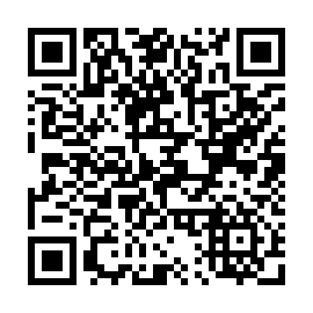 QR code for T13917