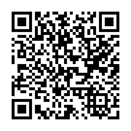 QR code for T13971