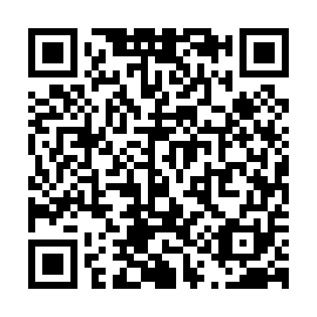 QR code for T15051