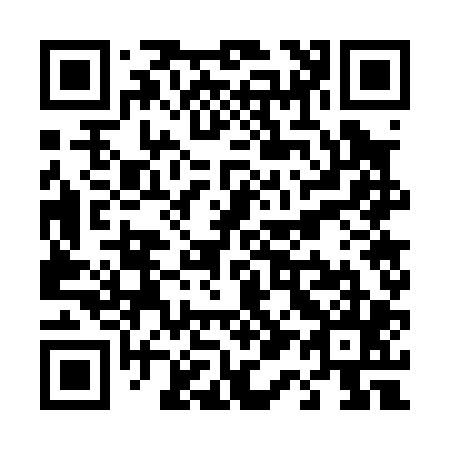 QR code for T17005