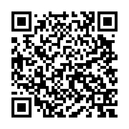 QR code for T17033