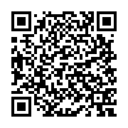 QR code for T17171