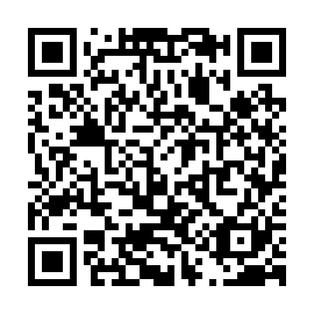 QR code for T17221