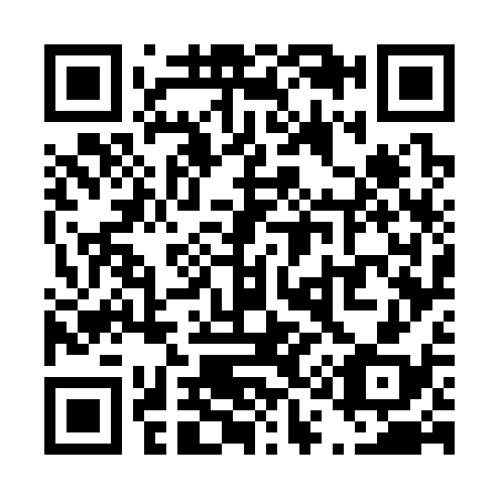 QR code for T17338