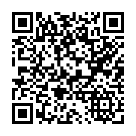 QR code for T17347