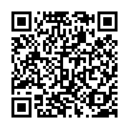 QR code for T17419