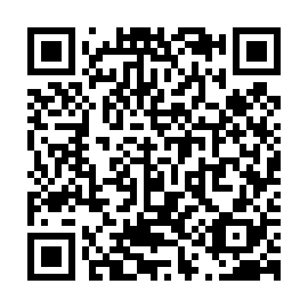 QR code for T17428