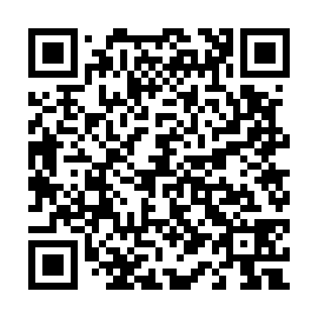 QR code for T17538