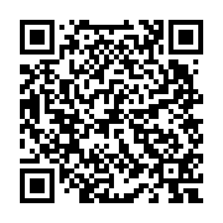 QR code for T17611